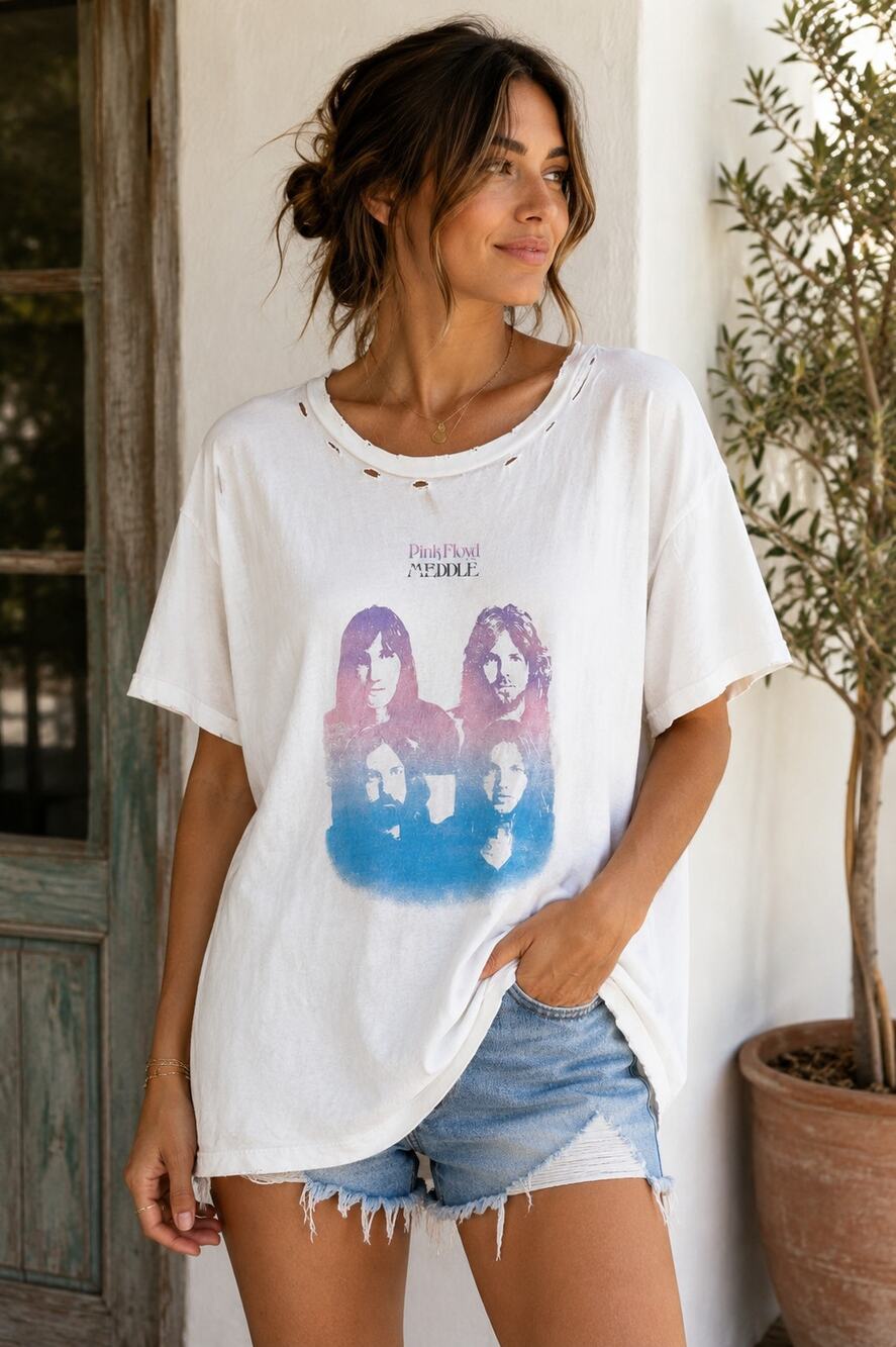 Vintage Canvas Pink Floyd Meddle Gradient Graphic Distressed Raw Edge T-Shirt